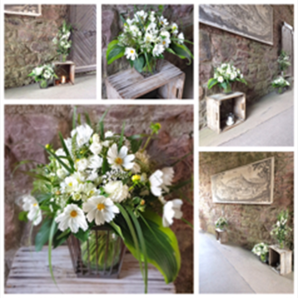 Floristik in Neubulach